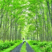 <small>Climate Change</small> Green tips for a cleaner environment